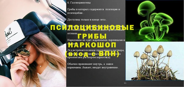 стаф Алексеевка