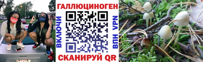 сайты даркнета как зайти Карпинск Галлюциногенные грибы мухоморы