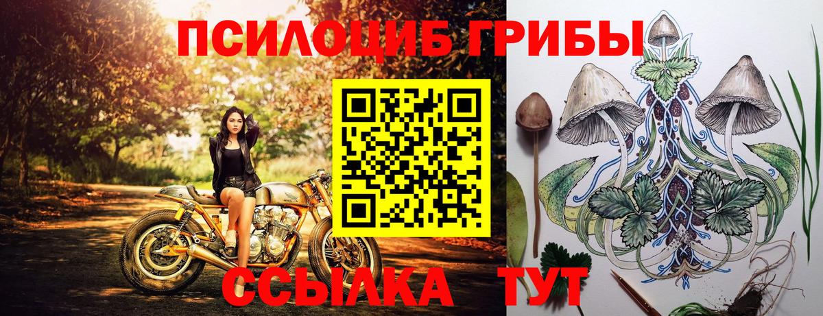 Карпинск  Галлюциногенные грибы GOLDEN TEACHER  Вход с VPN 