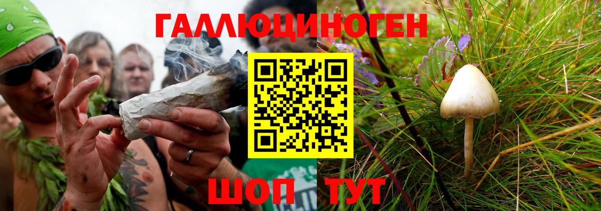 Галлюциногенные грибы мухоморы Карпинск